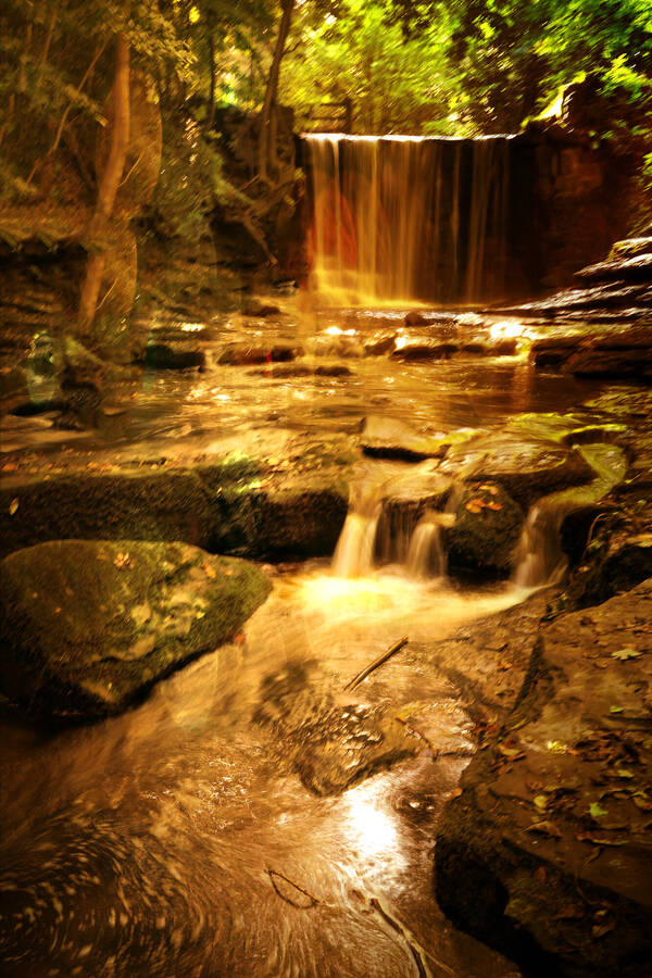 photographer WPNPHOTOIMAGES landscape  photo taken at Nant Mill Woods