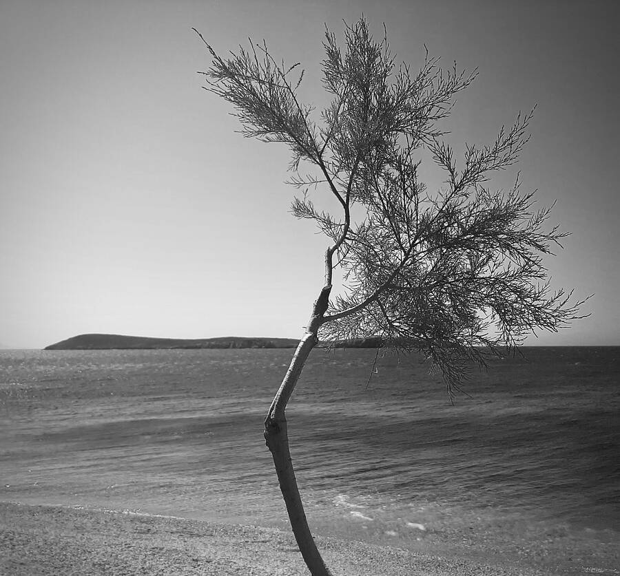 photographer JFC Images uncategorized  photo