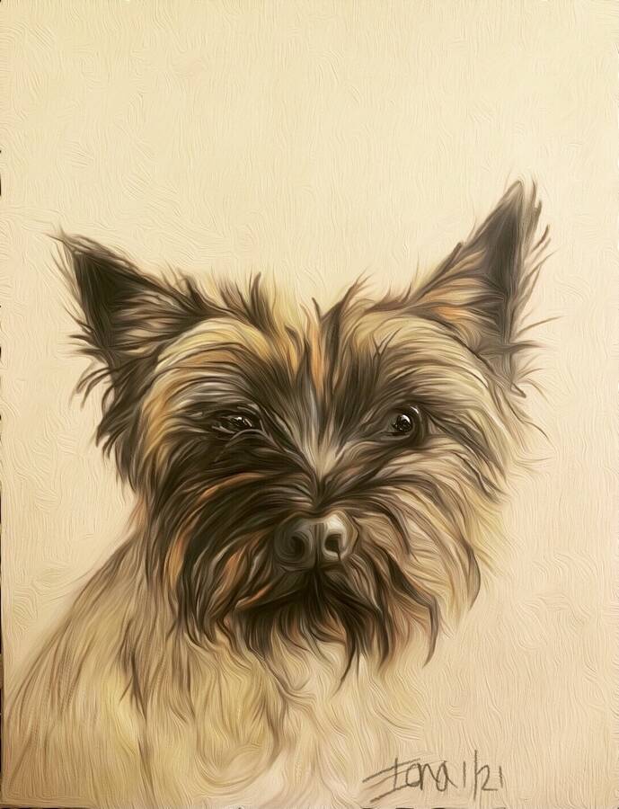 digital artist Wee iona uncategorized  photo