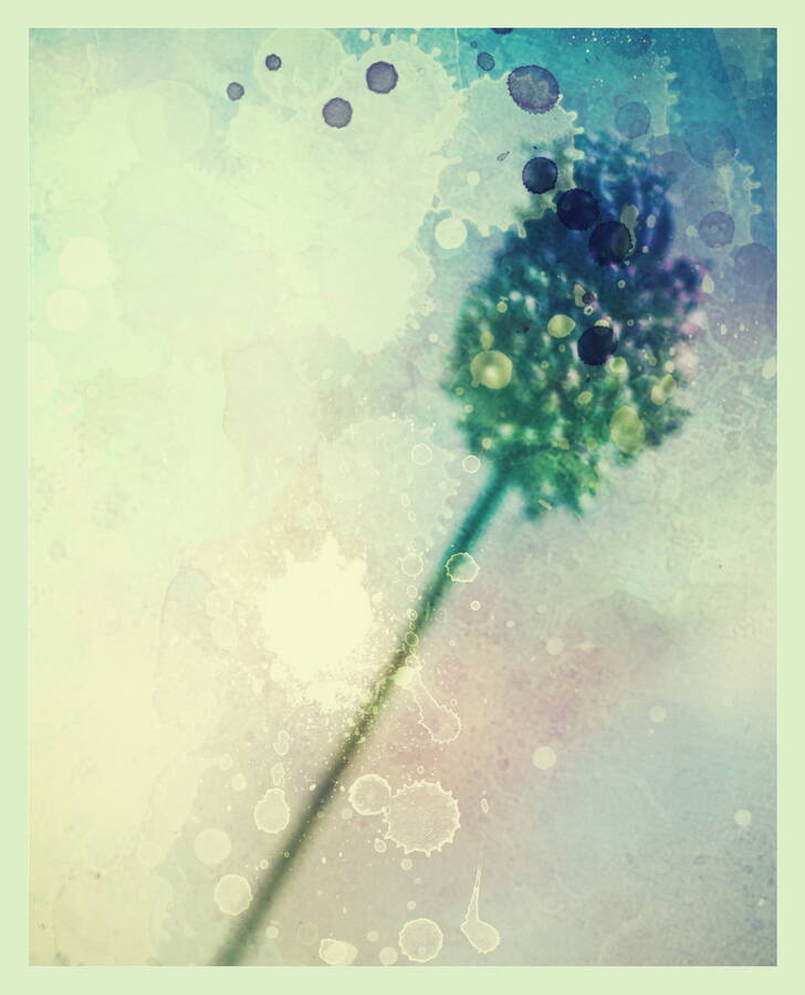 photographer  fine art  photo