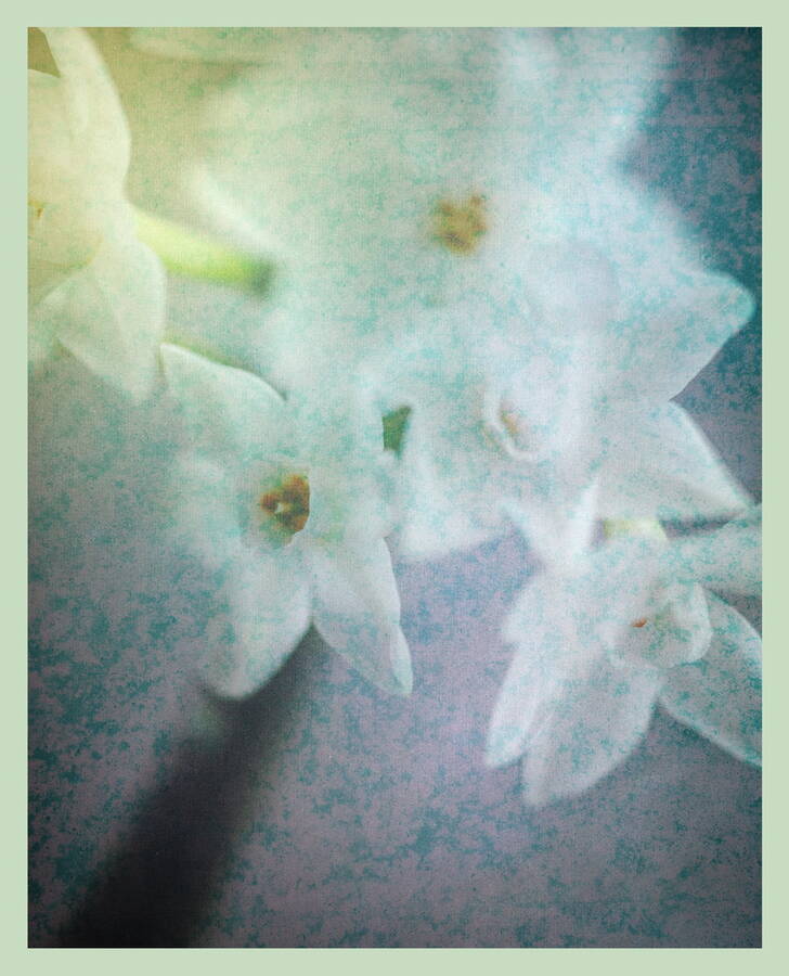 photographer  fine art  photo