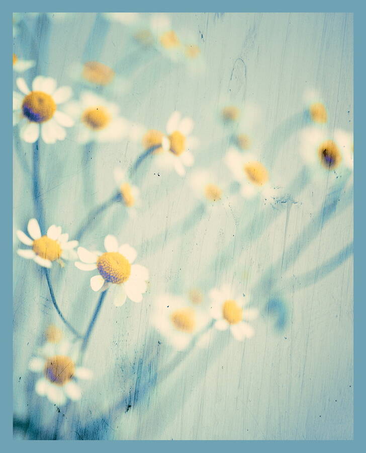 photographer  fine art  photo