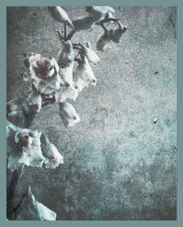 photographer  fine art  photo