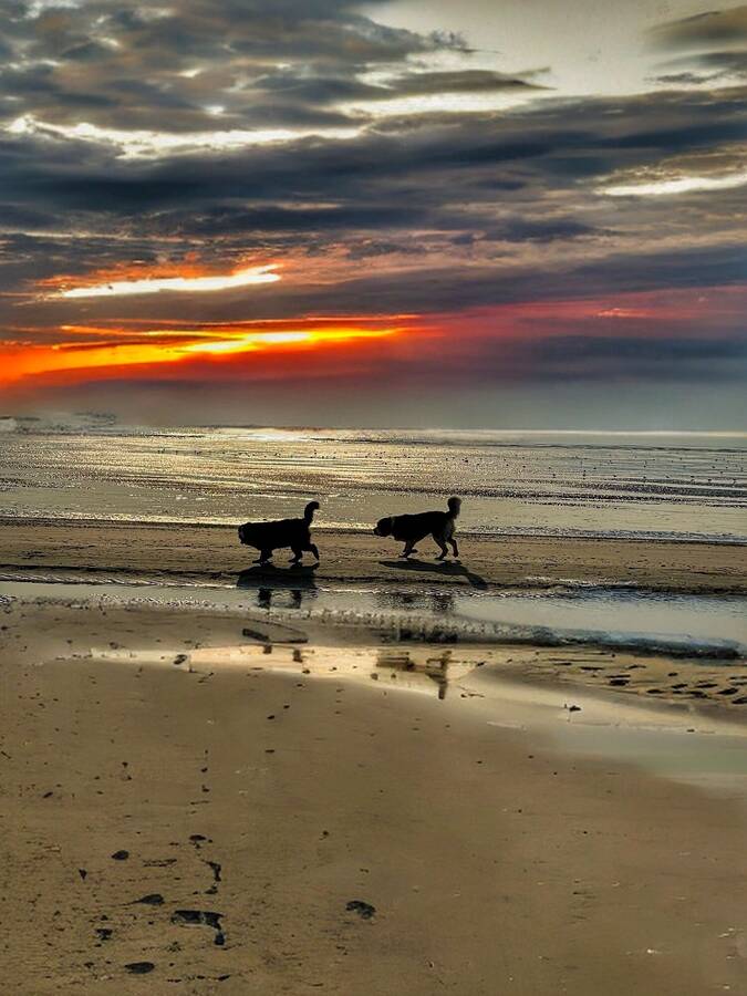 photographer Photographer Gino Cinganelli landscape  photo