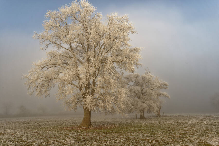 photographer Seano documentary  photo taken at France