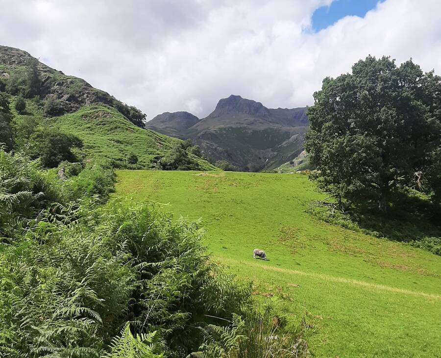 photographer JFC Images uncategorized  photo