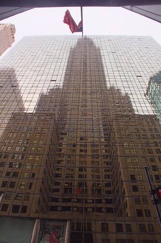 photographer Bitten by the Bug travel  photo taken at New York, USA