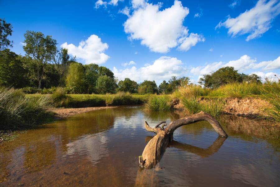 photographer Mark landscape  photo