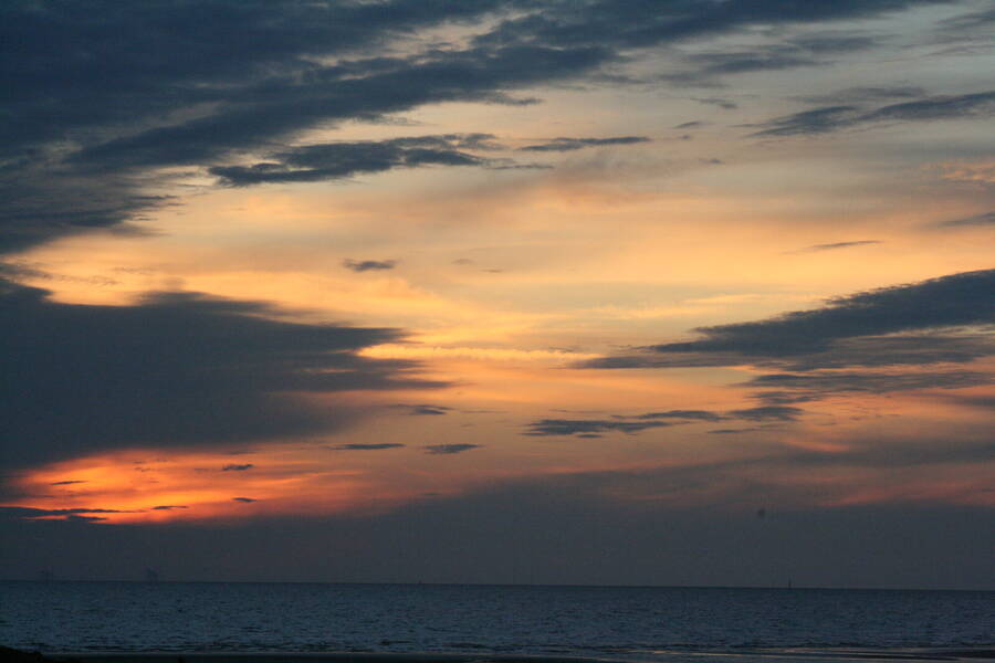 photographer Optikal Images uncategorized  photo