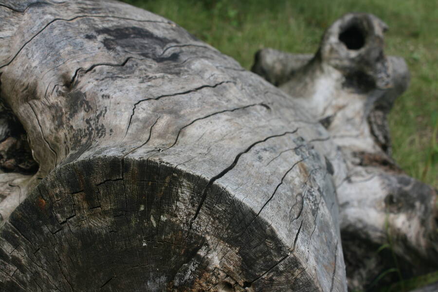 photographer Optikal Images uncategorized  photo