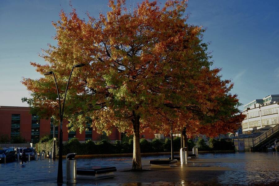 photographer Martin330 landscape  photo