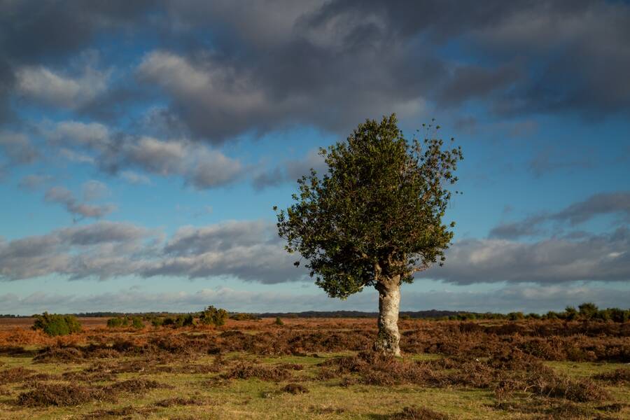 photographer Mark landscape  photo
