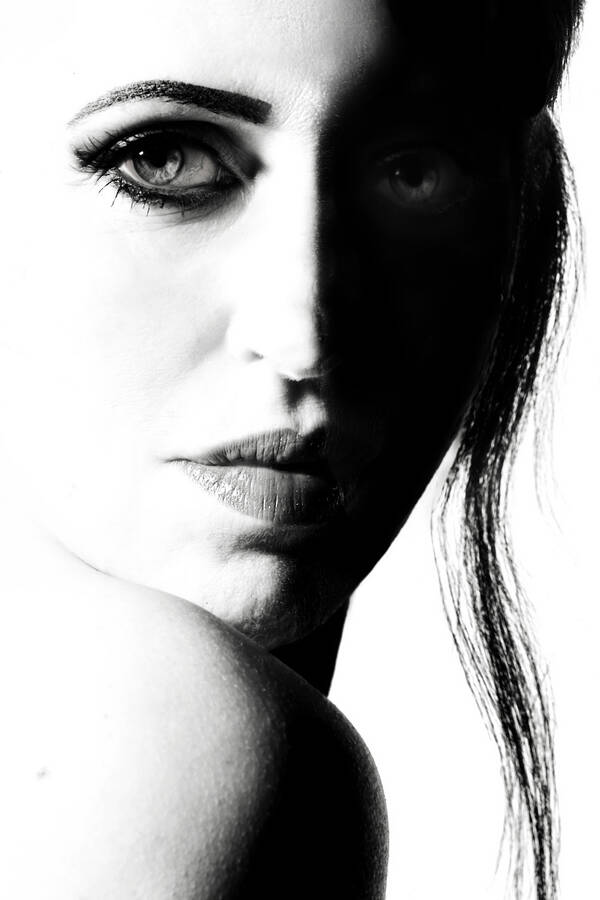 photographer The Opportunist uncategorized  photo