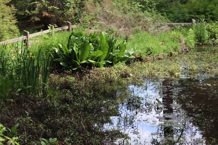 photographer Sussex Amateur wildlife  photo