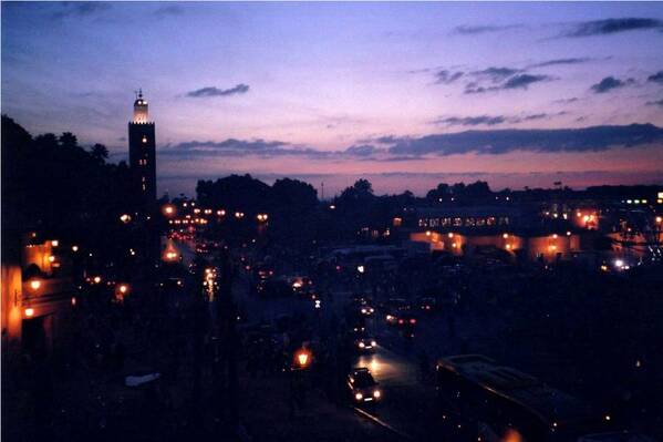 photographer Bitten by the Bug night  photo