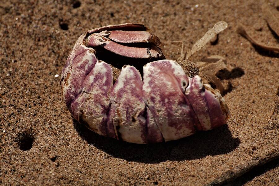 photographer Vertor landscape  photo