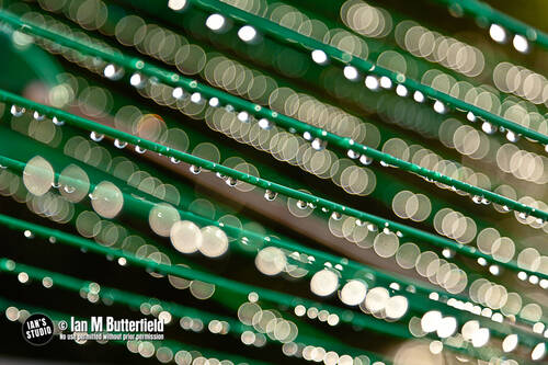 photographer ianbutty abstract  photo taken at Stockport