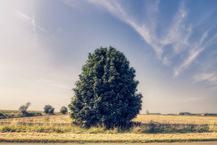 photographer MA Phoography landscape  photo