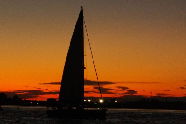 photographer Bitten by the Bug travel  photo