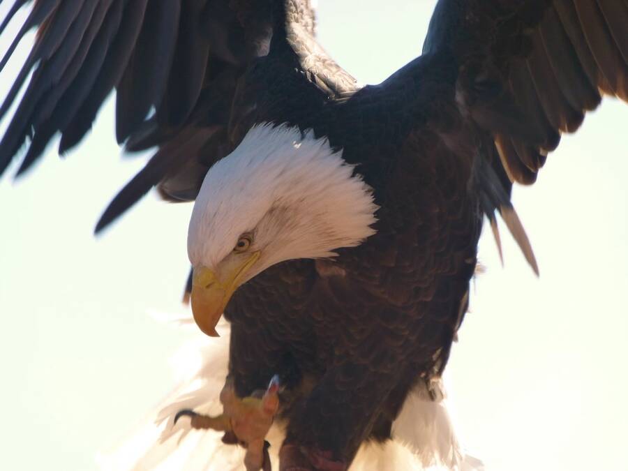 photographer Stuart McG wildlife  photo