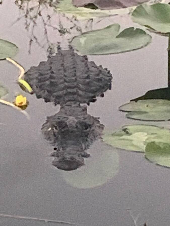 photographer Travel Junkies uncategorized  photo