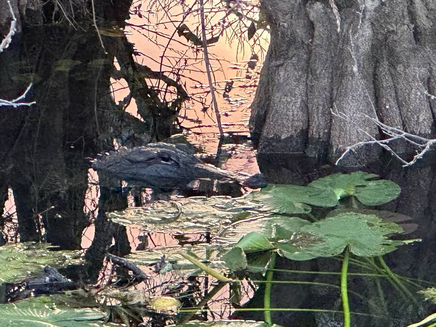 photographer Travel Junkies uncategorized  photo