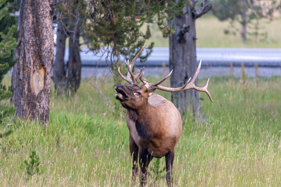 photographer Travel Junkies uncategorized  photo