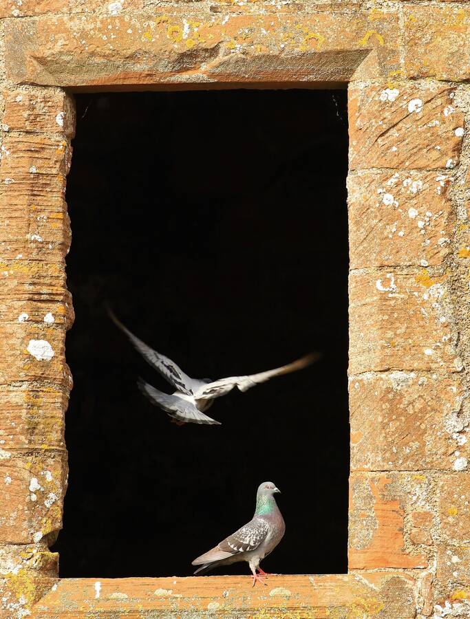 photographer northants wildlife  photo taken at SW Scotland