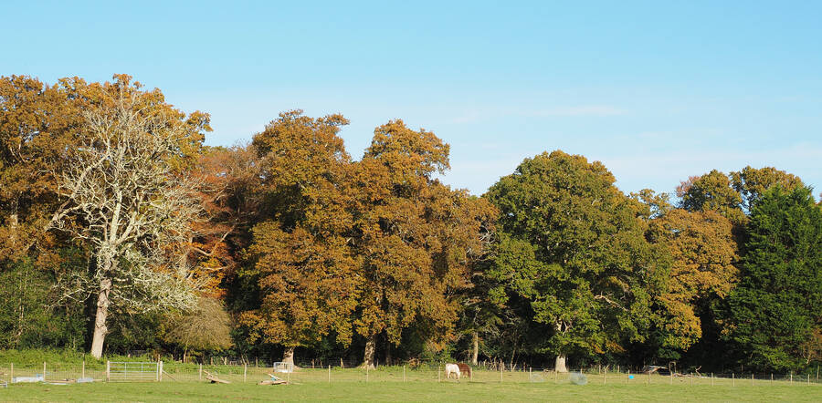 photographer Rosewood  Pix landscape  photo