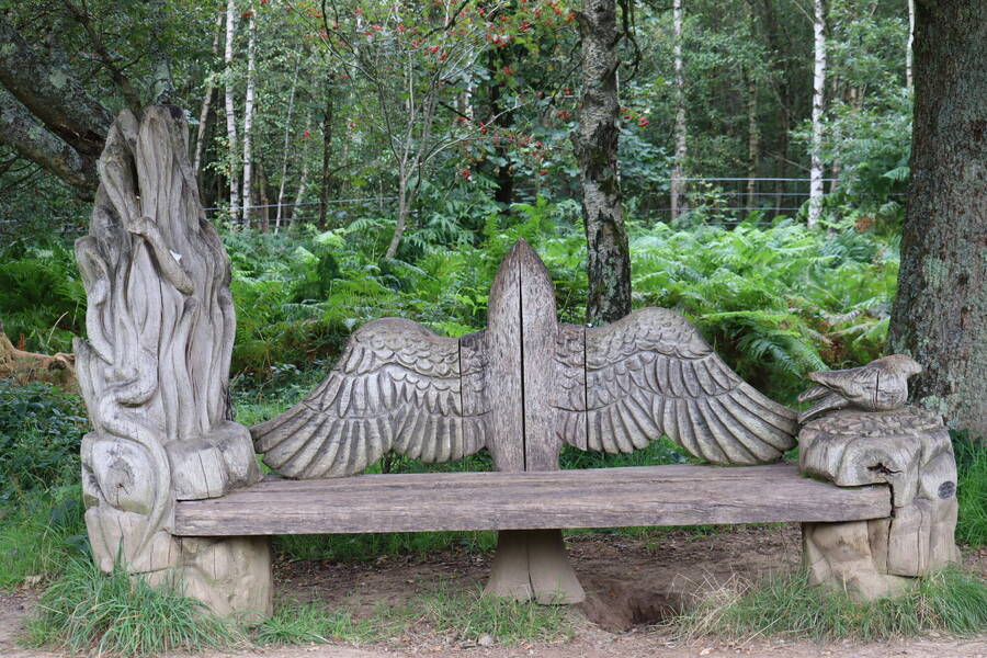 photographer Sussex Amateur fine art  photo taken at Buchan Park