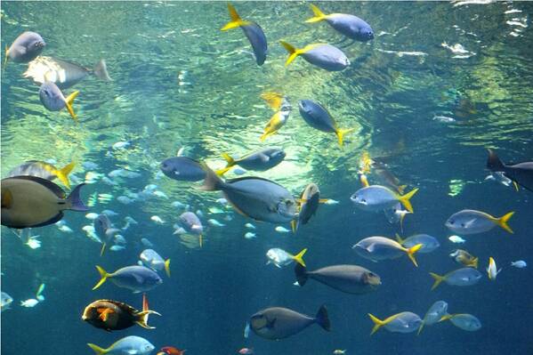 photographer Bitten by the Bug uncategorized  photo