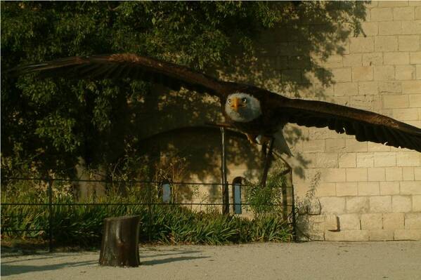 photographer Bitten by the Bug wildlife  photo