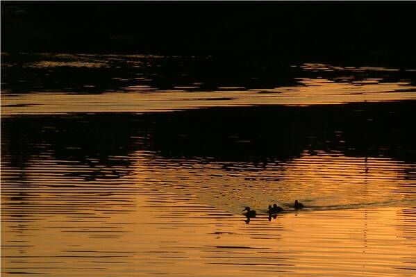 photographer Bitten by the Bug landscape  photo