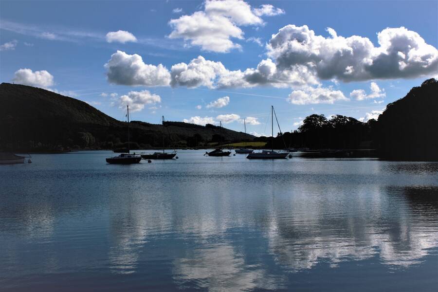 photographer Vertor landscape  photo