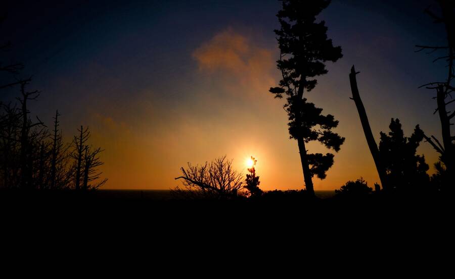 photographer toopac32 uncategorized  photo