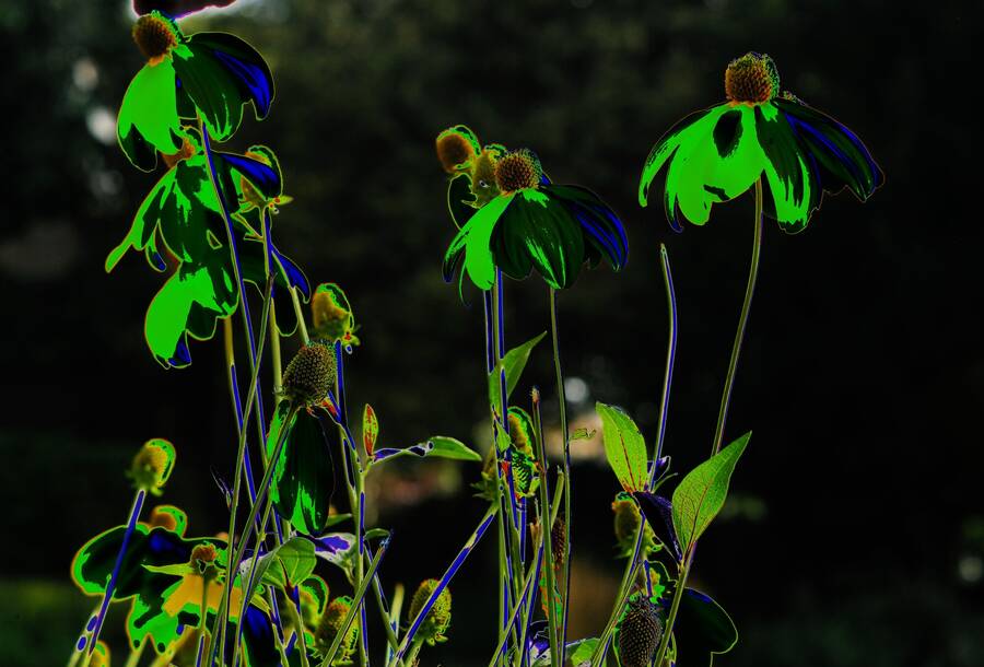 photographer Martin330 abstract  photo