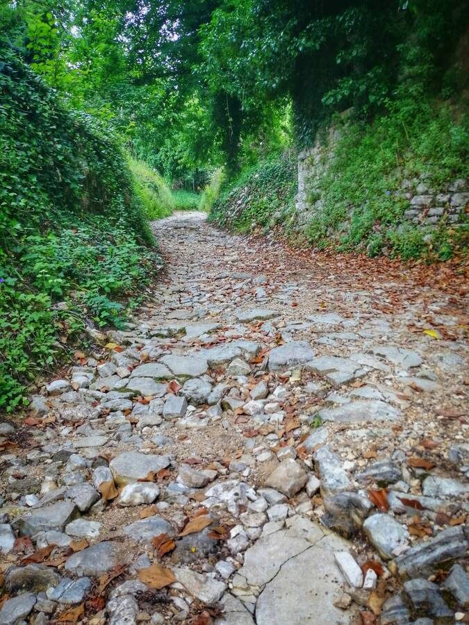 photographer CameraKitch landscape  photo