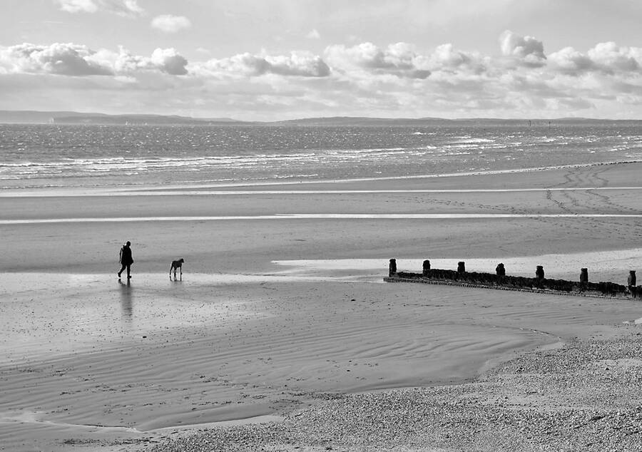 photographer JFC Images uncategorized  photo