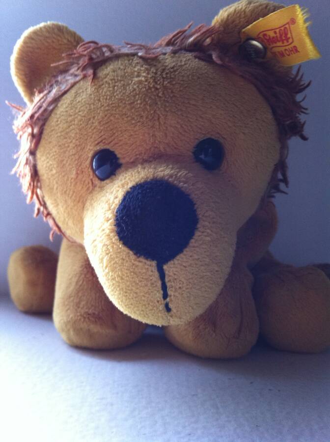 photographer LeArt conceptual  photo