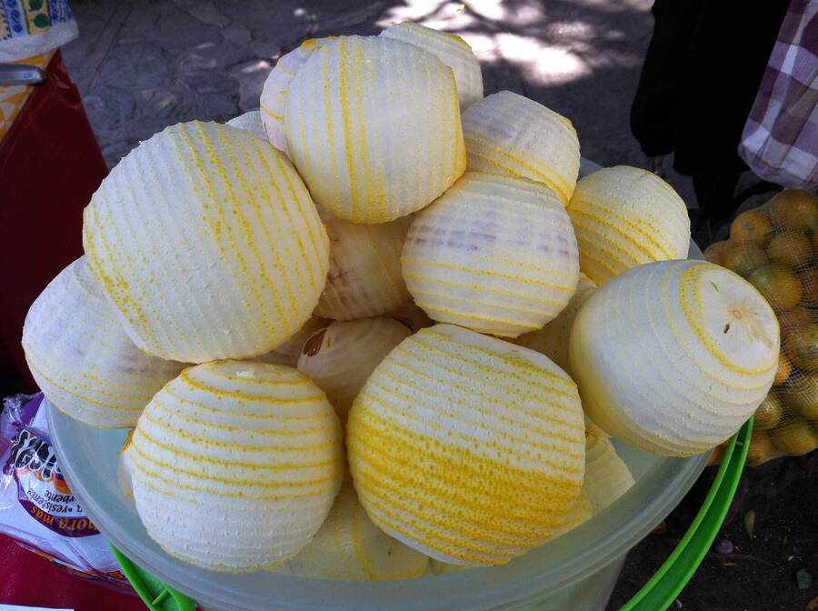 photographer LeArt food  photo