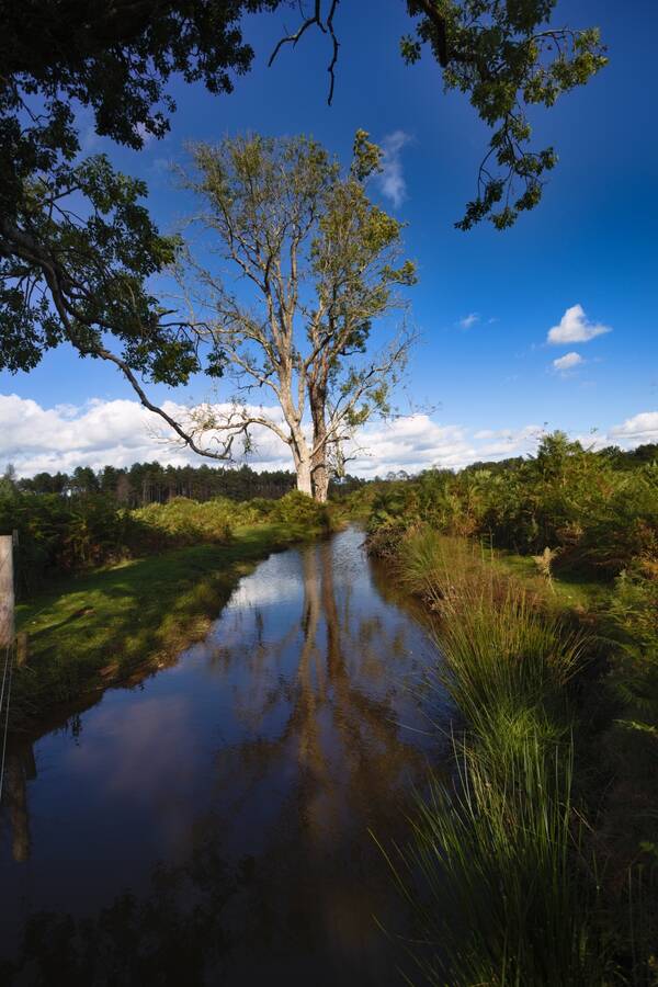 photographer Mark landscape  photo