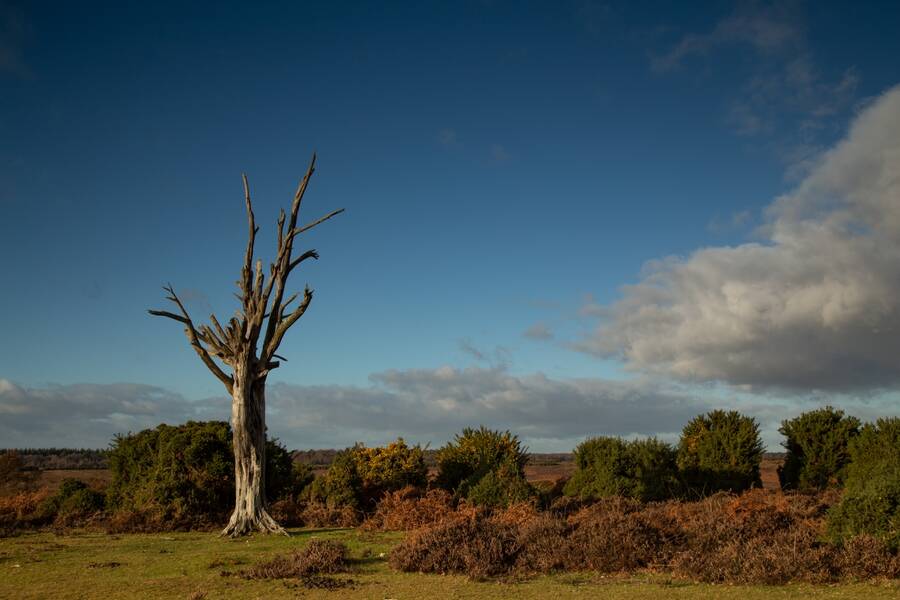 photographer Mark landscape  photo