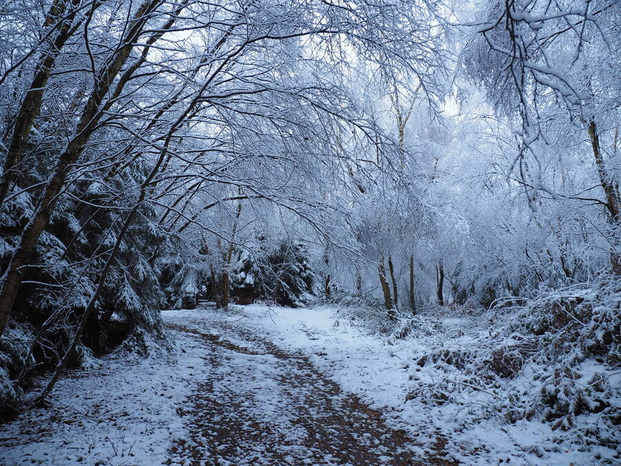 photographer Rosewood  Pix landscape  photo