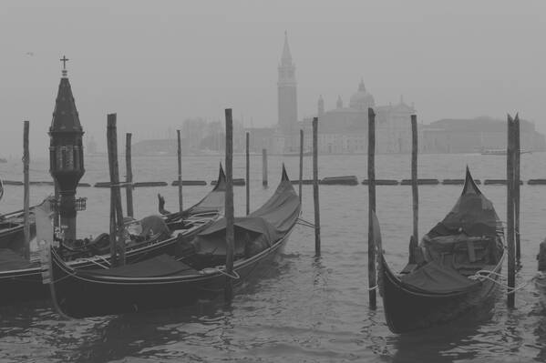photographer Bitten by the Bug transport  photo taken at Venice, Italy