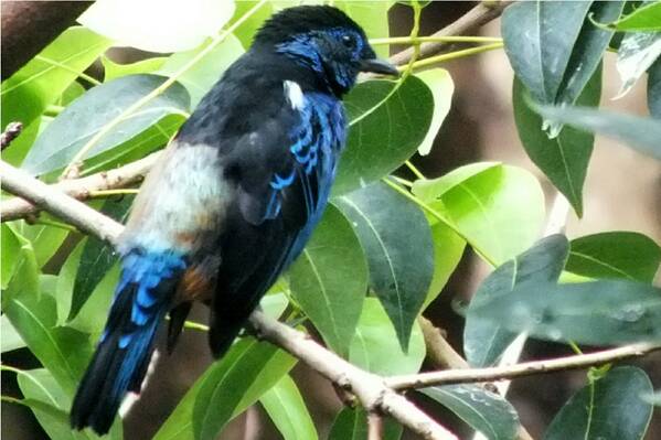 photographer Bitten by the Bug wildlife  photo