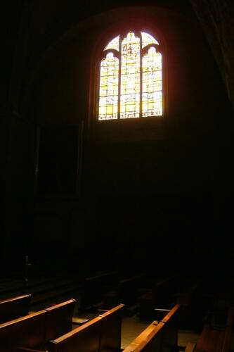 photographer Bitten by the Bug travel  photo