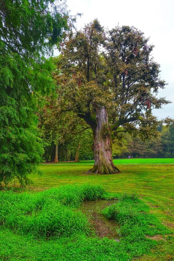 photographer Zlativan uncategorized  photo