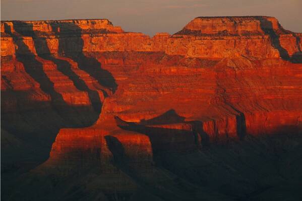 photographer Bitten by the Bug travel  photo