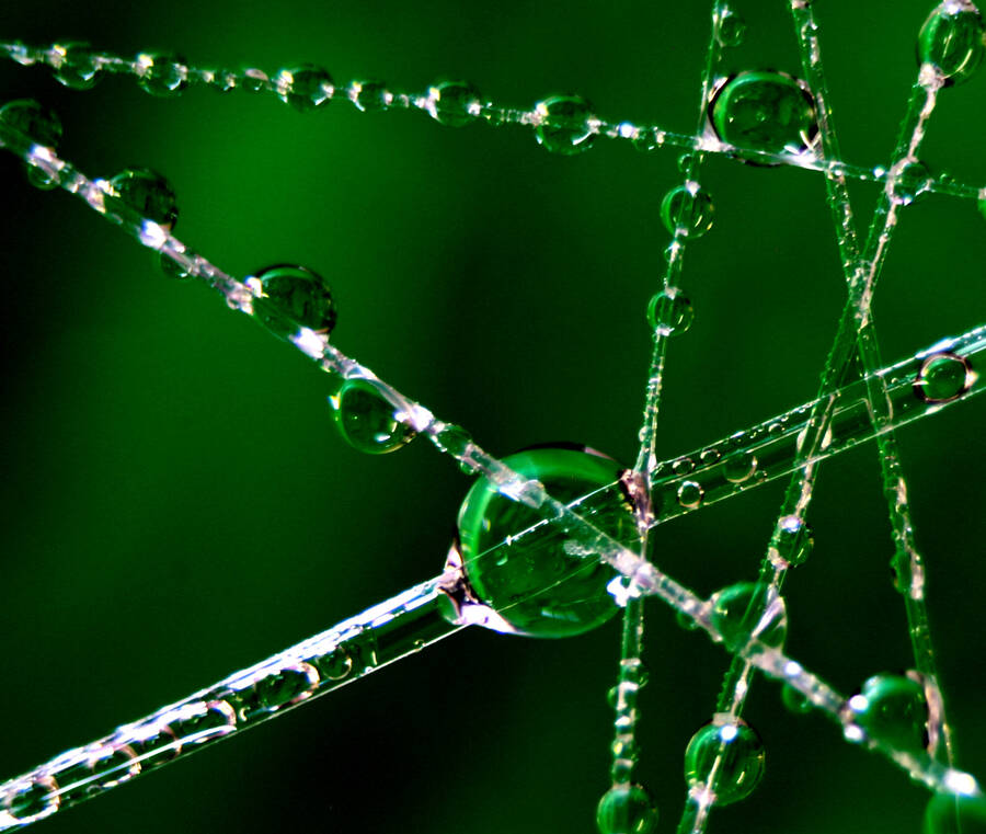 photographer JohnR abstract  photo taken at Home Studio