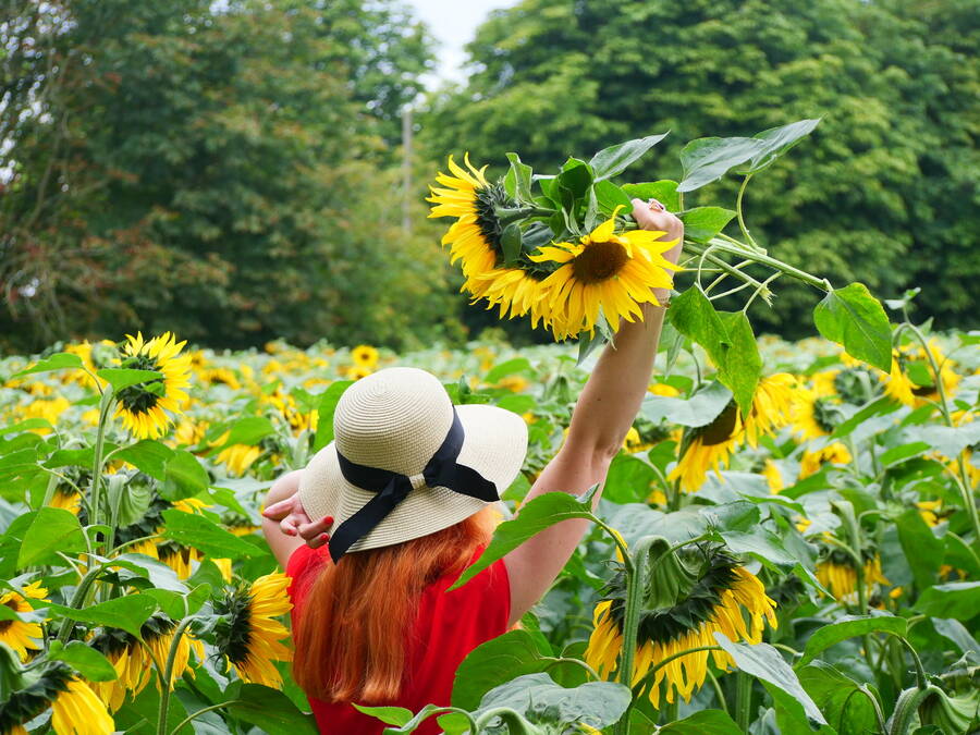 photographer LiberaPhoto uncategorized  photo